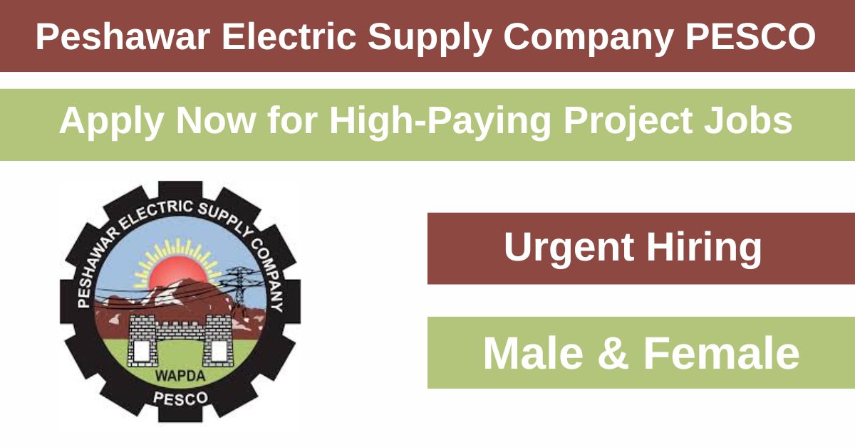 PESCO is offering attractive job openings through its World Bank-funded Electricity Distribution Efficiency Improvement Project.