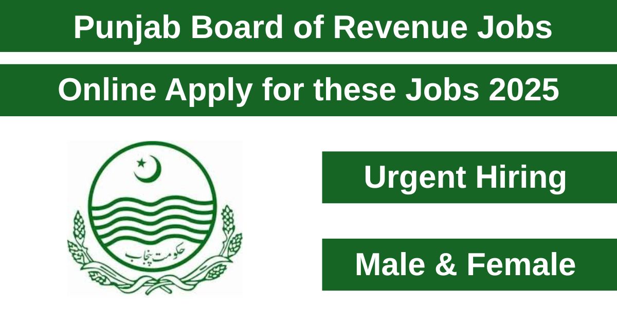 PULSE is allowing the Punjab Board of Revenue to hire new employees for various job positions in 2025.