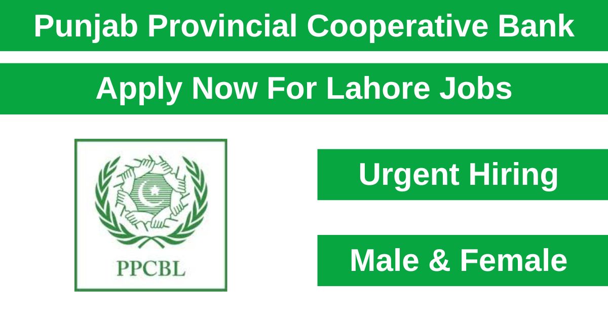The Punjab Provincial Cooperative Bank Limited (PPCBL) is looking for highly skilled.