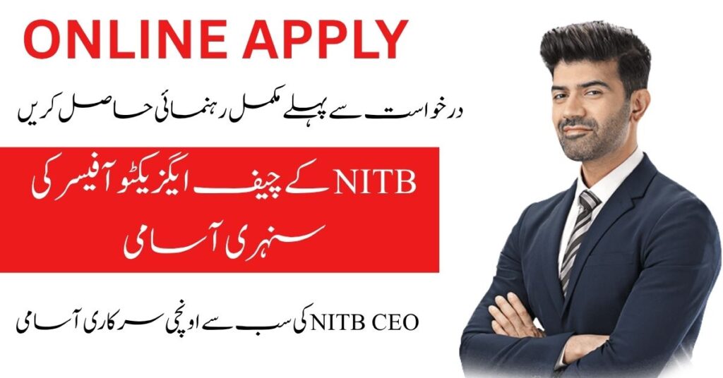 NITB has declared an exclusive position of top level professionals.