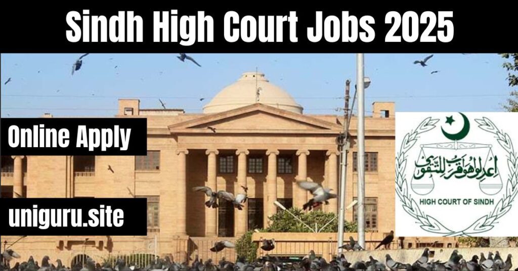 Sindh have officially announced updates on new vacancies in 2025.